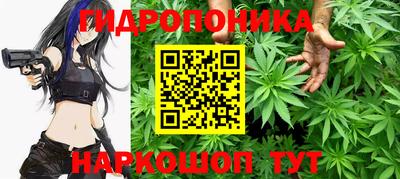 стафф Обь