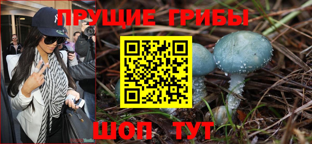 Псилоцибиновые грибы прущие грибы Партизанск